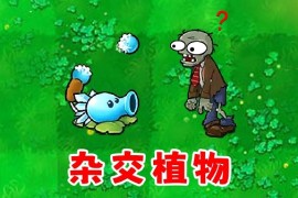 植物大战僵尸杂交版手机版