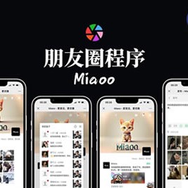 Miaoo朋友圈程序全开源版源码