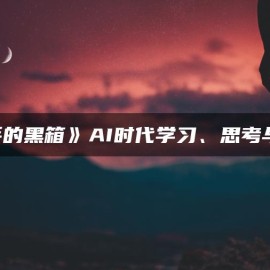 高手的黑箱：AI时代学习与创作整套视频教程